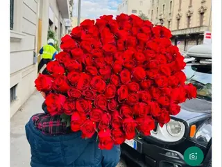 Rose rosse 50