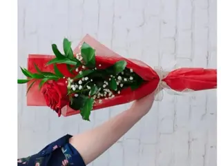 Rose rosse