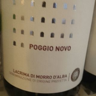 Lacrima Di Morro d'alba