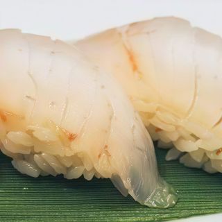 61. Nigiri suzuki