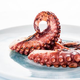 Polpo Grigliato
