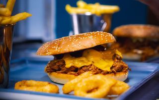 Pulled pork barbecue