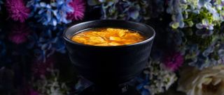 Zuppa in salsa agropiccante