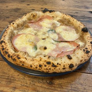 Tartufo & Mordatella