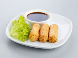 INVOLTINI PRIMAVERA