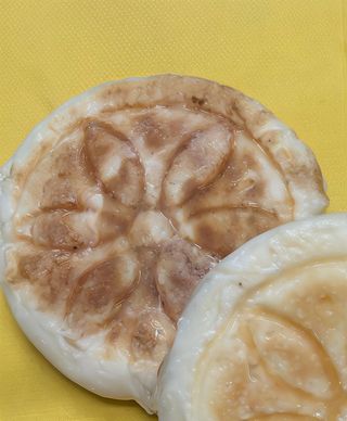 Tigella la bolognese