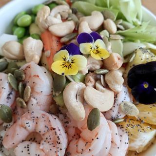 PokÈ – Inverno Tropicale