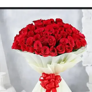 71 Rosa rossa