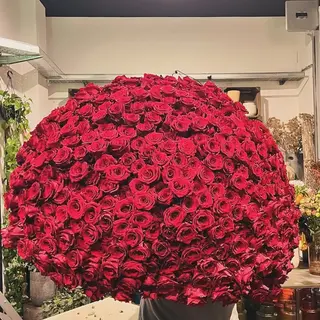 501 Rosa rossa