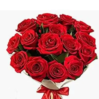 15 Rose Rosse Piccole
