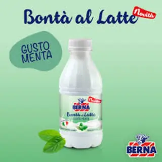 Latte Berna e menta 500 ml