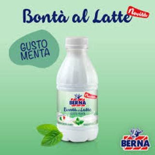 Latte Berna e menta 500 ml