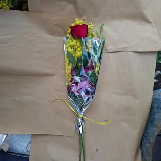 Mimosa horchidea rossa incieme