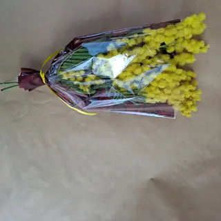 Mimosa un pacco