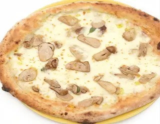 Porcini