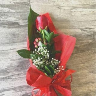 1 Rosa rossa