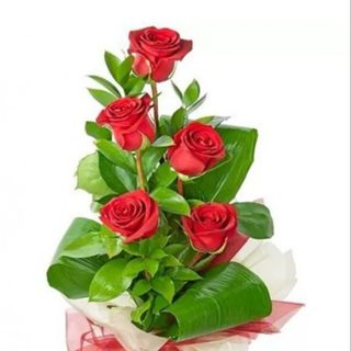 5 rose rosse