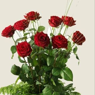 9 rose rosse