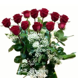 12 rose rosse