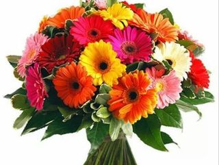 Bouquet Gerber vari colori