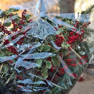 Agrifolio di ilex & mix Natalizia