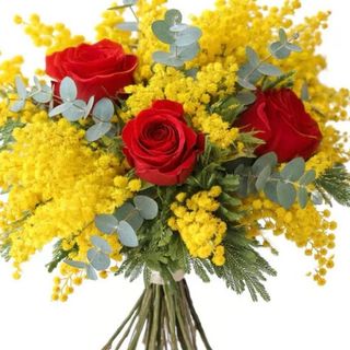 Mimosa with red rose