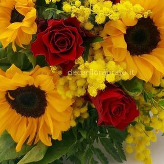 Girasole con rose con mimosa