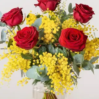 5 rose con mimosa