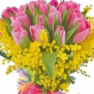 Tulipani con mimosa