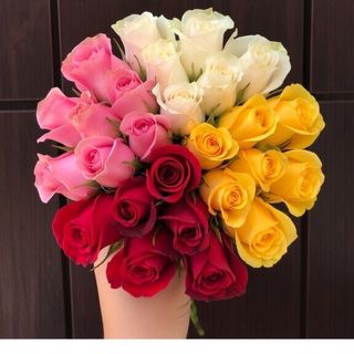 4 color roses