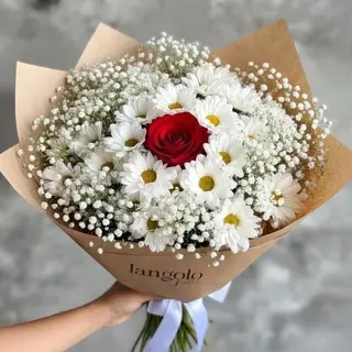 You are the rose