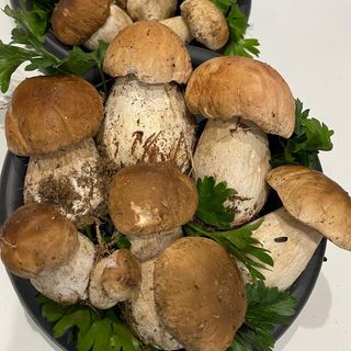 Funghi porcini