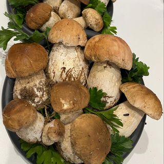 Funghi porcini
