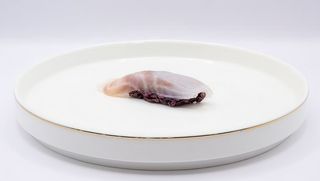 223. Nigiri suzuki nero - 2 pezzi