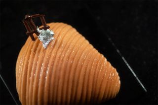 306. Finta sfogliatella