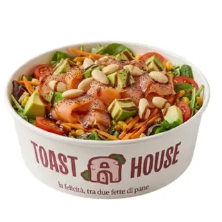 Salmon salad