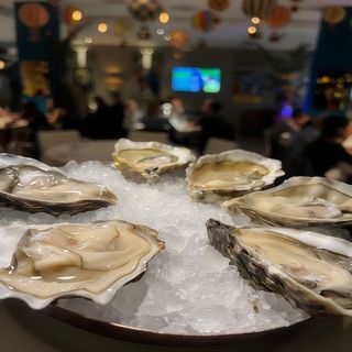 6 ostriche Francesi FDC