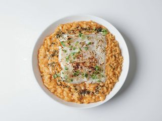 Risotto mantecato al burro basilico e scampi cannelatti