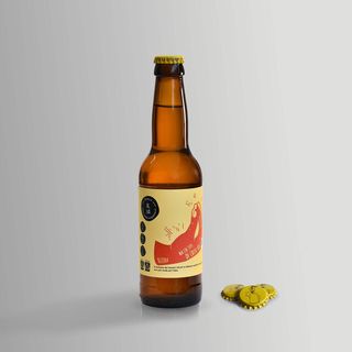 Birra Chiara Alua 33cl
