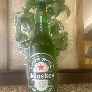 Heineken 66cl