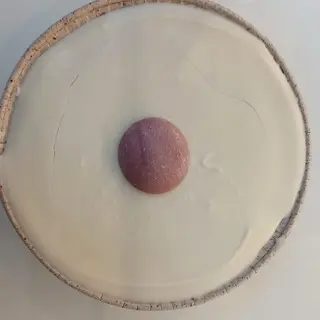 Sacher Crostatina  frutti rossi e cioccolato bianco