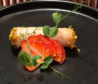 Salmon cannolo