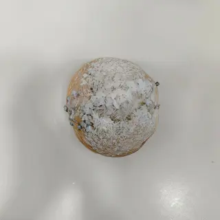 Panciok