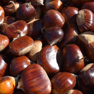 Castagne