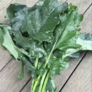 Broccoli di rapa 5 fasci