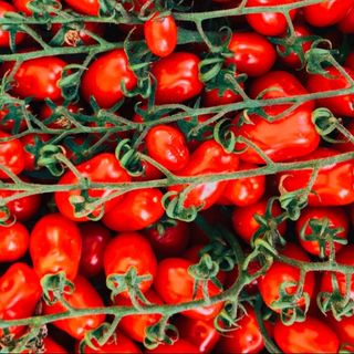 Pomodorini datterini