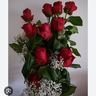 12 rosse rosse