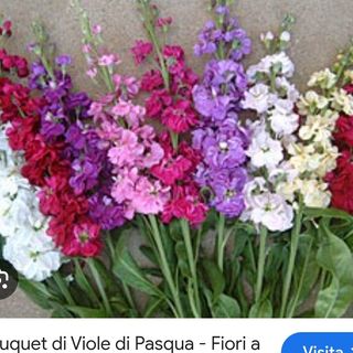 Bouquet  fiori Di pasqua