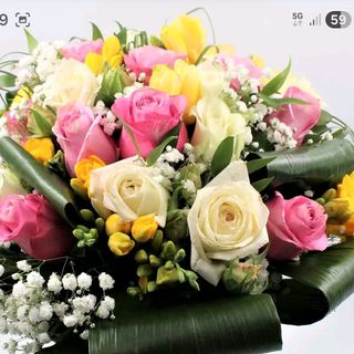 Bouquet roslina
