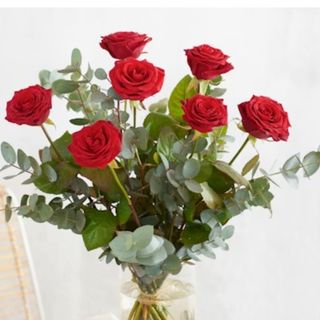 7 rosse rosse